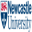 Directors International Excellence Scholarships at Newcastle University, UK